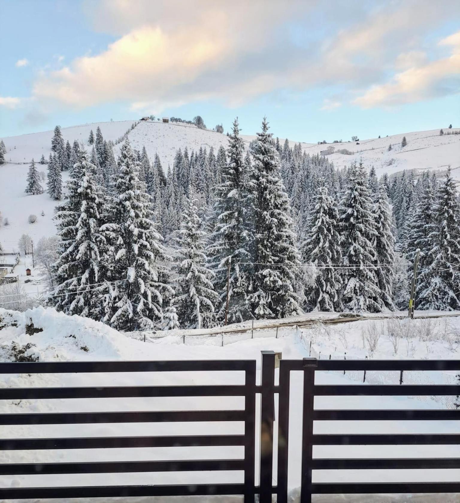A Pisc Hotel Vatra Moldoviței Kültér fotó